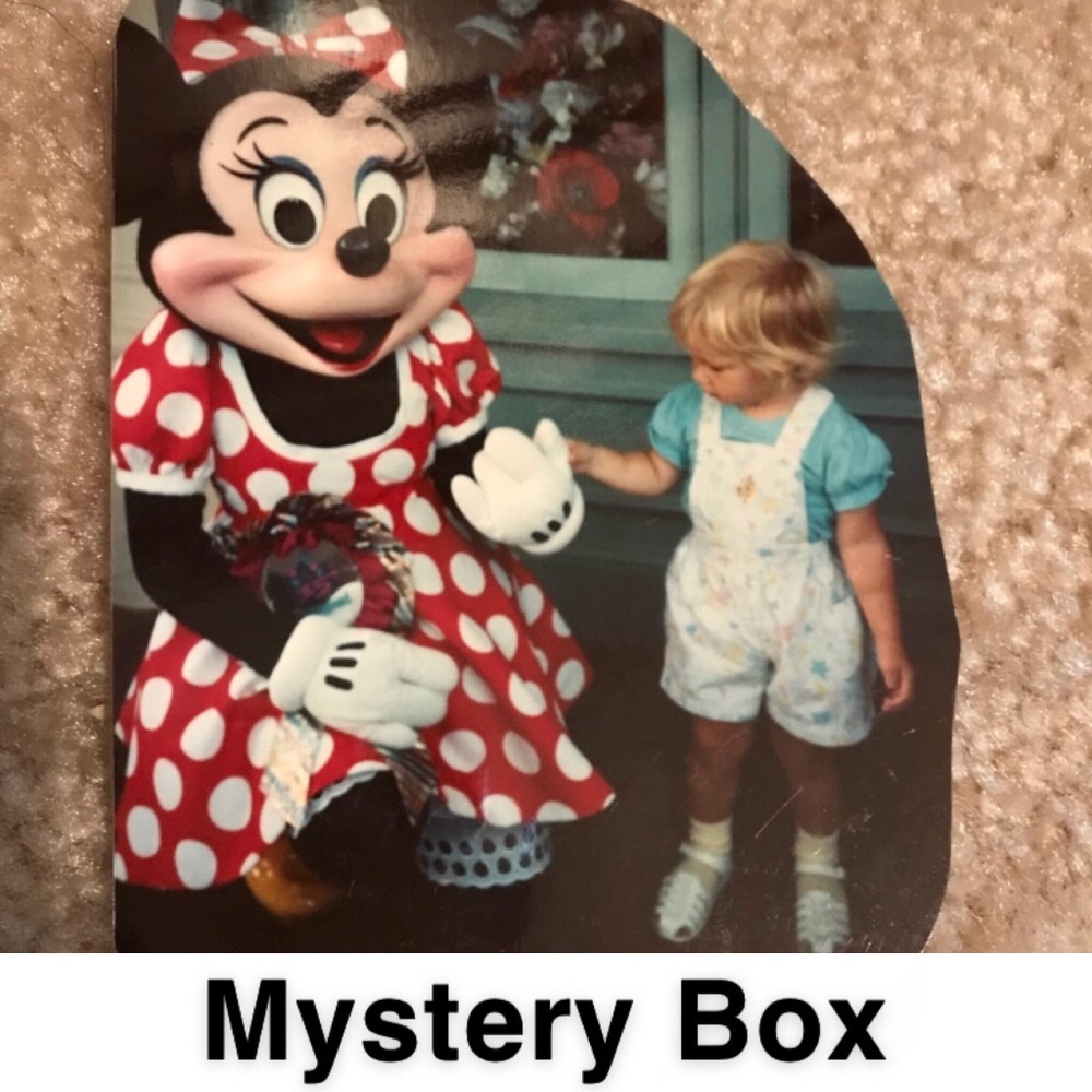 DISNEY Mystery Box! How cute!!